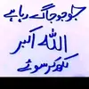 Raja Bashir - @raja.bashir03 - TikTok