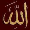 Raja Bashir🇵🇰 - @rajabashir005 - TikTok