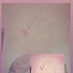 Ra Ja - @rajabella113202 - Instagram