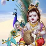 Marriage burrow rajkot - @marriageburrowrajkot - Instagram