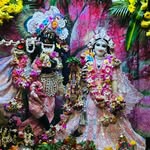 Raja Dhalla - @raja_dhalla - Instagram