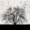 Raja Harrison - @rajaharrison - TikTok