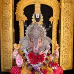 𝗚𝗼𝗹𝗱𝗲𝗻_𝗵𝗶𝗹𝗹_𝗰𝗵𝗮_𝗥𝗮𝗷𝗮⚜️ - @golden_hill_cha_raja - Instagram