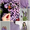 Rajaa Khalaf - @rajaa.khalaf0 - TikTok
