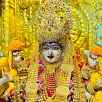 Raja mehdi  - Facebook