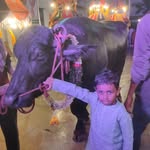 rajam ilesh - @rajam.ilesh - Instagram