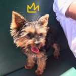 Sage Raja Moore - @creeshe - Instagram