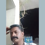 Puli Raja - @rajapuli662 - Instagram
