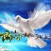 Rajaa Haidar - Facebook