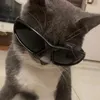 r4 - @rajaamuhammadlefii - TikTok