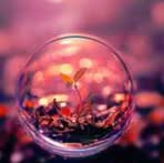 Rajan Joseph - Facebook