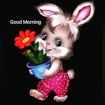 Rajan joseph - @rajanjoseph49 - Instagram