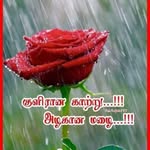 G.gayathiri - @rajanrose6 - Instagram
