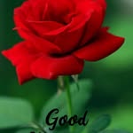 Rajan Rosemary - @rajan.rosemary.3 - Instagram
