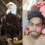 Rajan Roy - Facebook