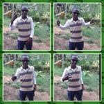 @rajay_unruly_reid - Instagram