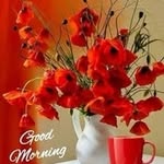 Rajeev Bhaskar Bhaskar - @rajeevbhaskarbhaskar - Instagram