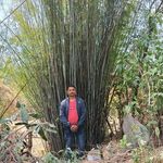Rajeev Bhatt - @rajeev.bhatt.712 - Instagram