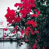 Rajeev - @rajeevchandr - TikTok