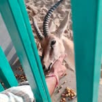 Rajeev Karwasra - @rajeevkarwasra18 - Instagram