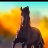 Rajeev Ojha - @rajeevojha43 - TikTok