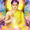 Rajendra Prashad - @rajendradhingrakdnd - TikTok