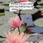 Rajesh Datta - @v_can_we_will - Instagram