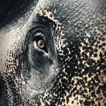 Rajesh_Mohan - @rajesh_mohan8 - Instagram