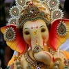 Rajesh Seth - @rajeshseth205060 - TikTok