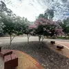 Rajinder  brar - @user2984098 - TikTok