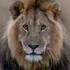 RAJIV ANEJA - @user966142478 - TikTok
