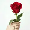 Rajiv Raj - @rajivraj5 - TikTok