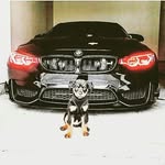 AIDEN RAJPAULSINGH - @rajpaulsinghaiden - Instagram