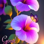 Raj Paul Singh - @rajpaulsingh1955 - Instagram
