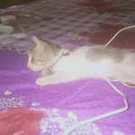 Raju Uddin - @rajuuddin237 - Instagram