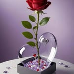 Raju Uddin - @tamanna__begum10 - Instagram