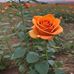 Rakesh Barman - Facebook