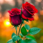 Rakesh Kumar - @rakeshkumar.1.43 - Instagram