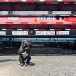 Rakim - @rakim_davis_ - Instagram