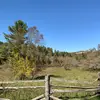 Johnson_Raleigh - @johnson_raleigh - TikTok