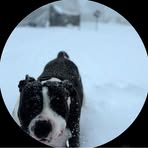 Raeleigh Petterson - Facebook