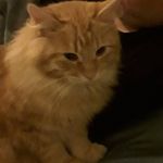Raleigh Scott - @raleighscott0 - Instagram