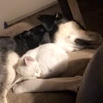 Raleigh & Walker - @raleigh_walker - Instagram