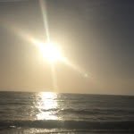 Raleigh Walker - @surfer_500 - Instagram