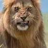 Ralf Becker - @ralf.becker80 - TikTok