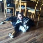 Ralf Becker - @ralfbecker64 - Instagram