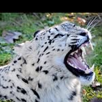 Ralf Brenner - @r.brenner1 - Instagram