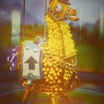 Ralf Gross - @ralfgrosss - Instagram