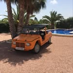 Ralf Gross - @ralf.gross.dolfi - Instagram