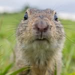 Ralf Jacob - @silbermaus6270 - Instagram